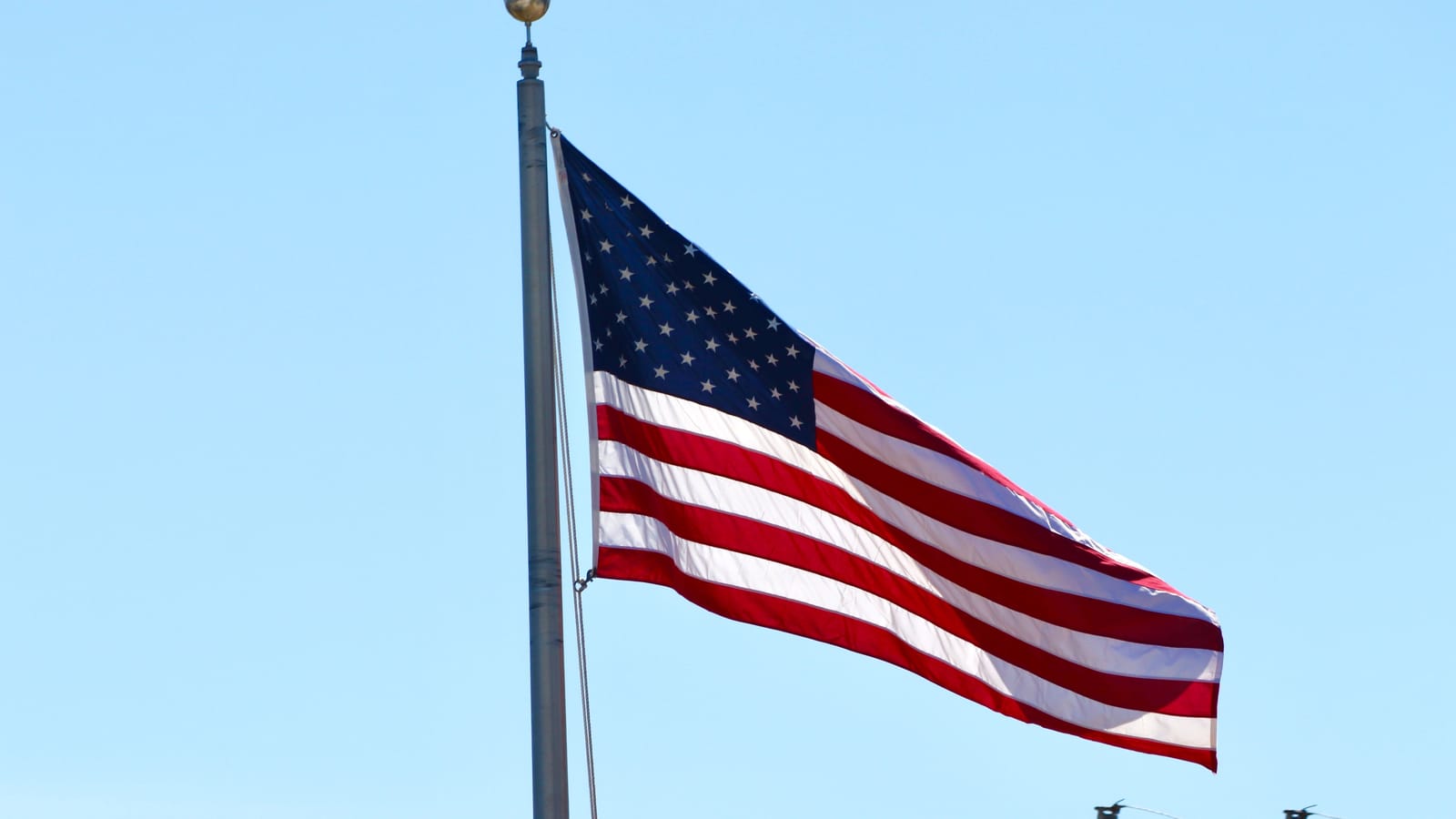 100 Things Every American Should Know About the Constitution