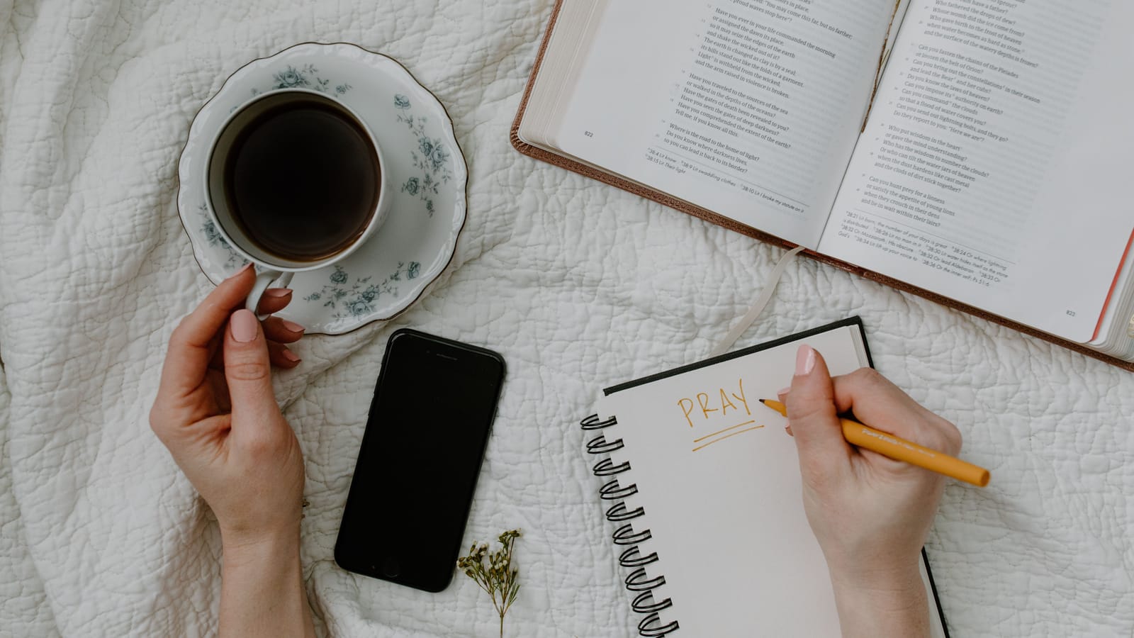 A Reading Plan for Paul's Letters When You Have Fifteen Minutes