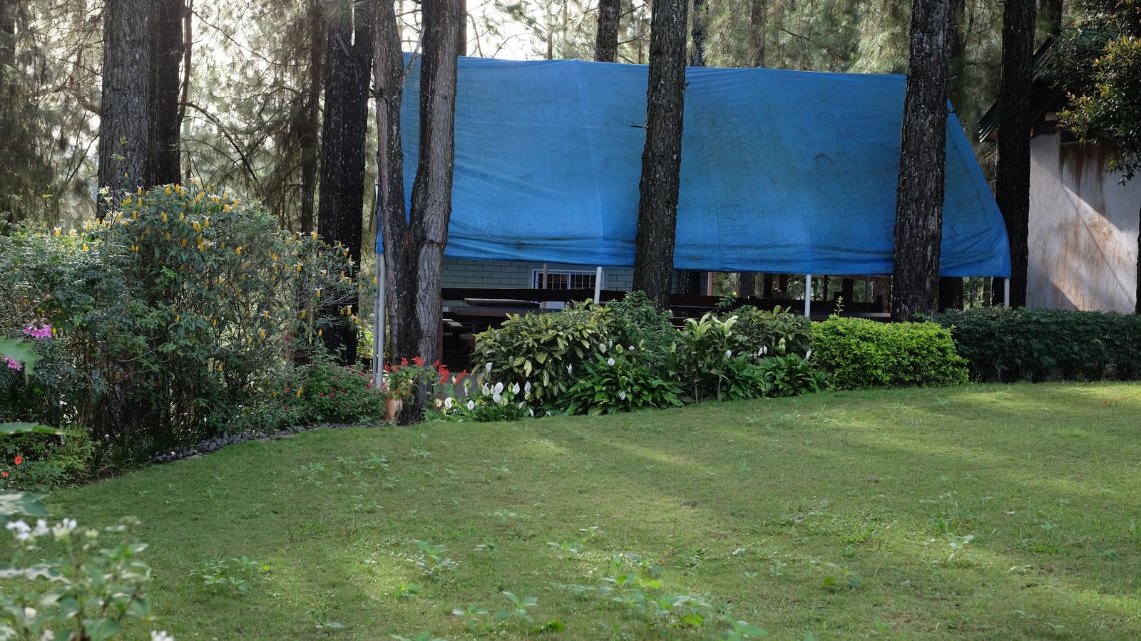 A Tarp, a Hundred Feet of Paracord and Three Knots