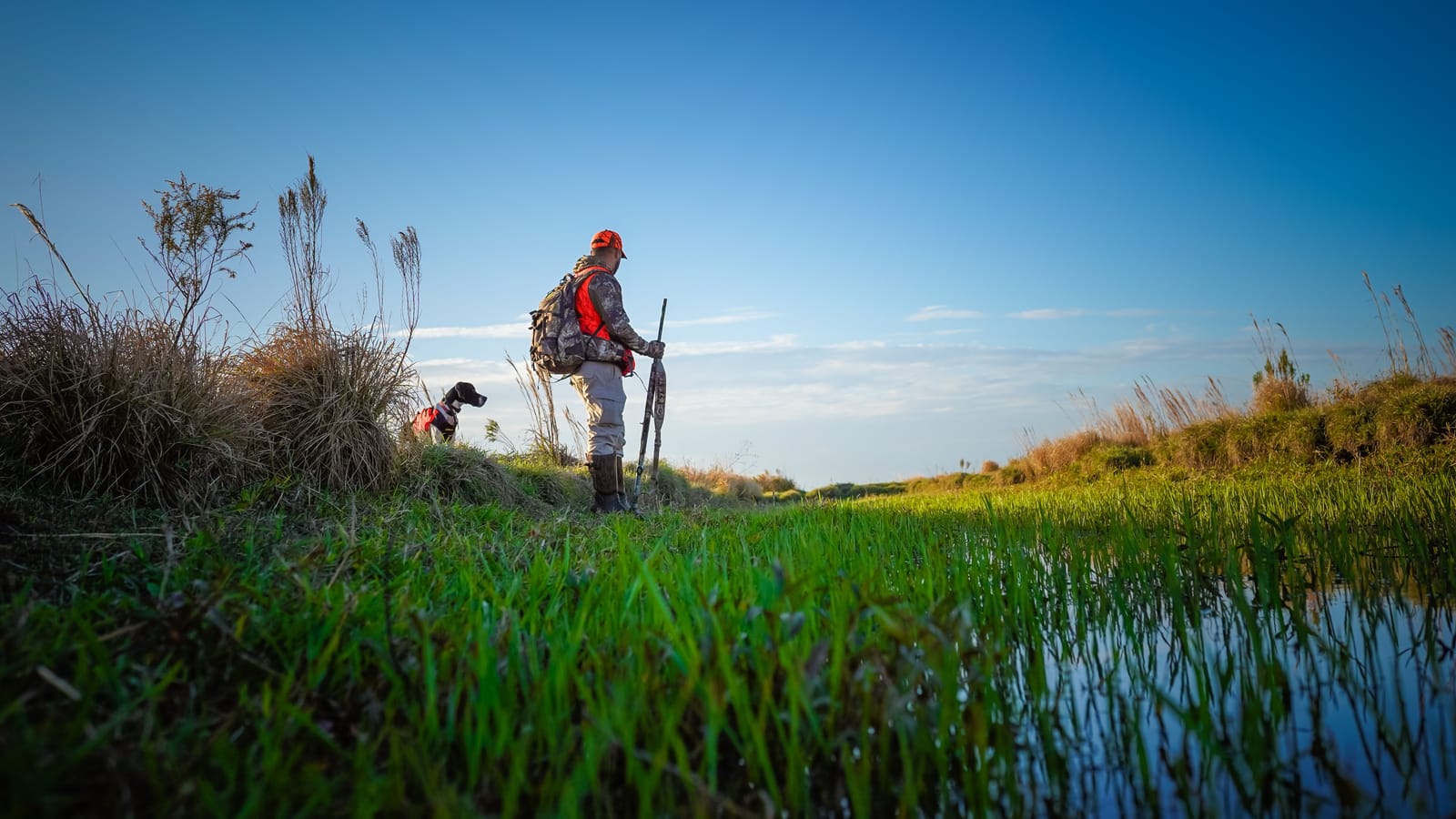 Brush the blind, cut the spread, fix the waders