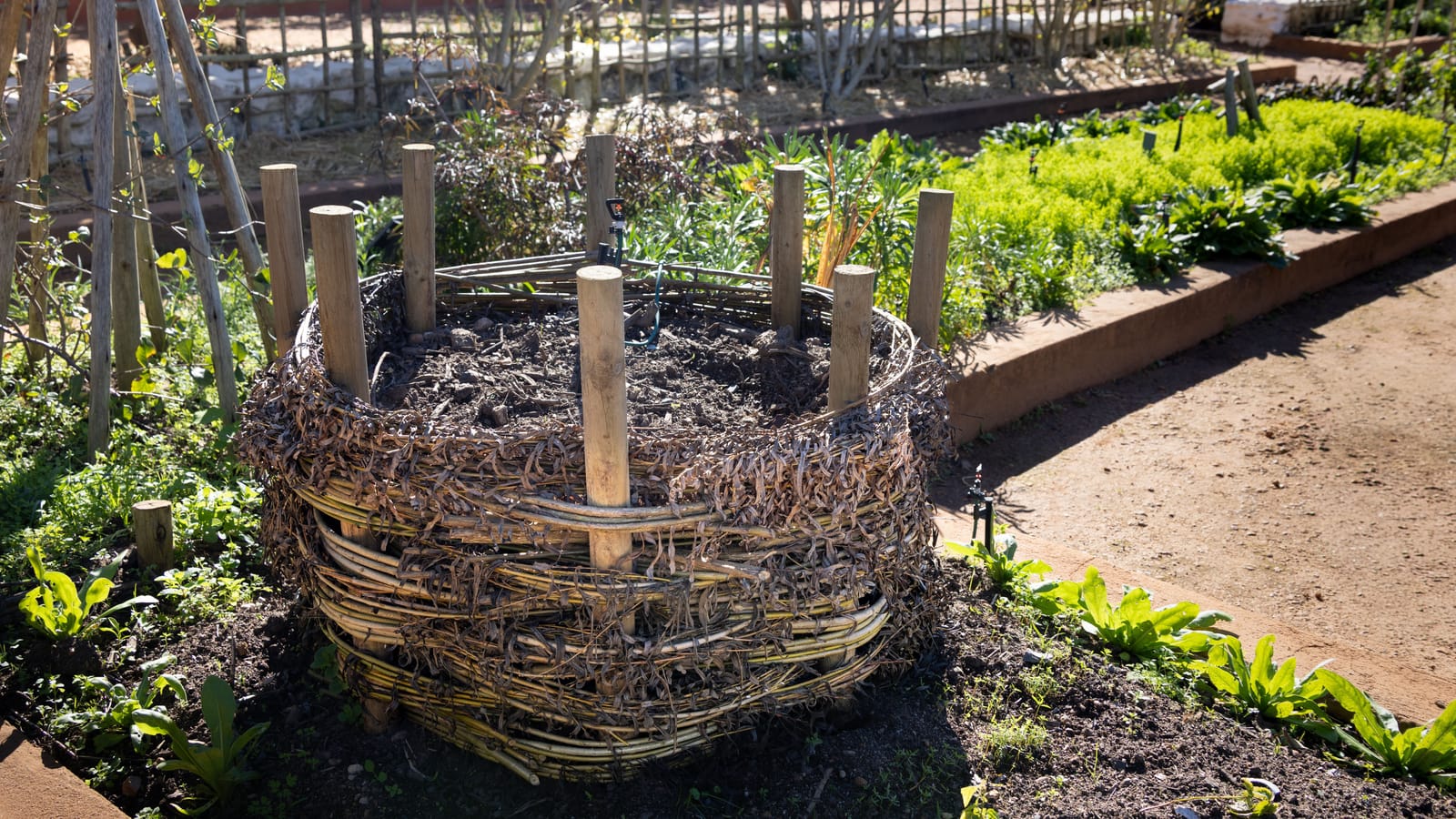 Compost That Doesn't Stink or Feed the Rats
