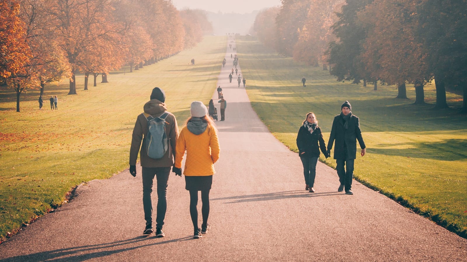 Courtship isn't an old-fashioned word for slow