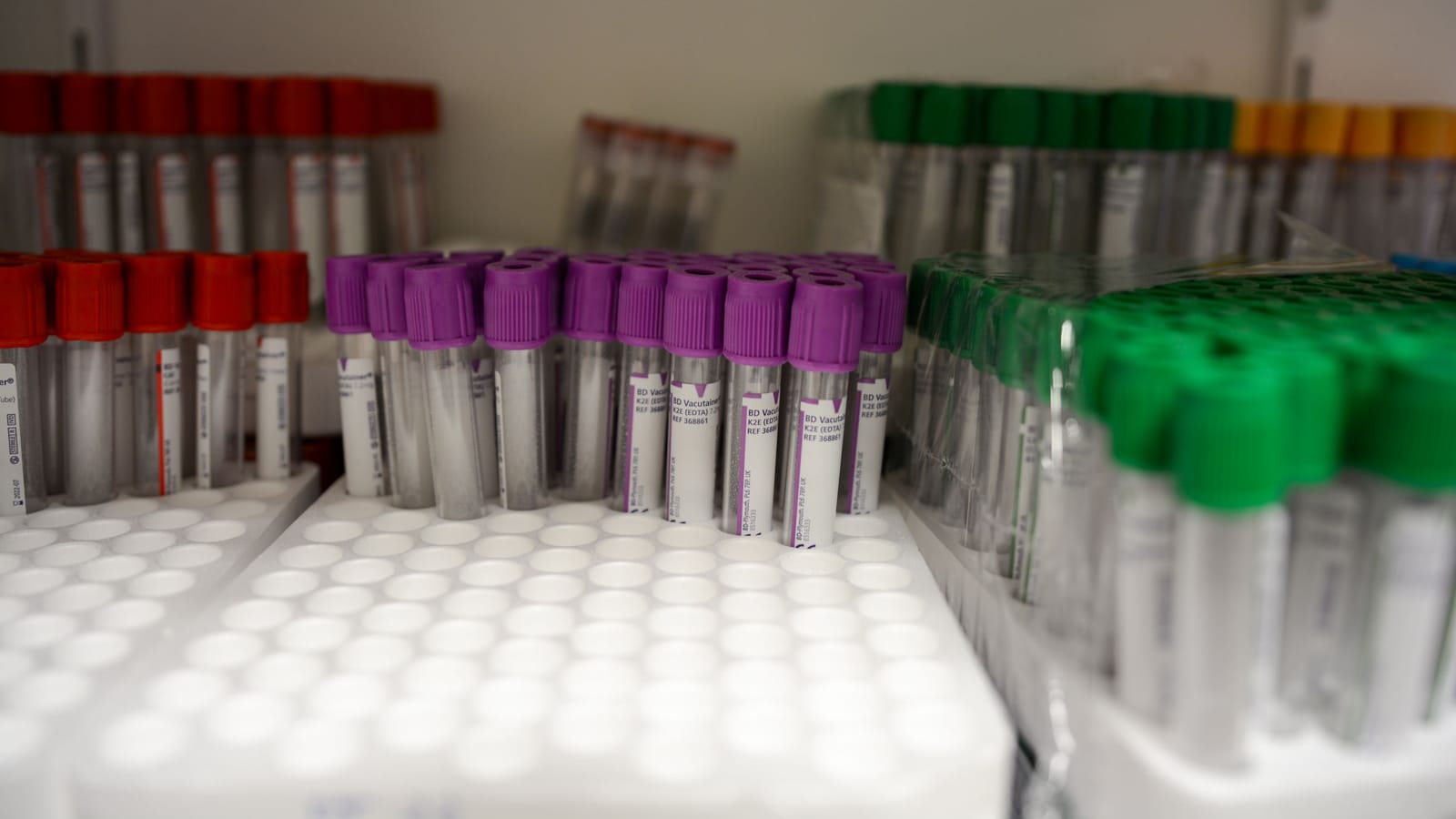 Creatinine, eGFR and what to ask when the numbers drift