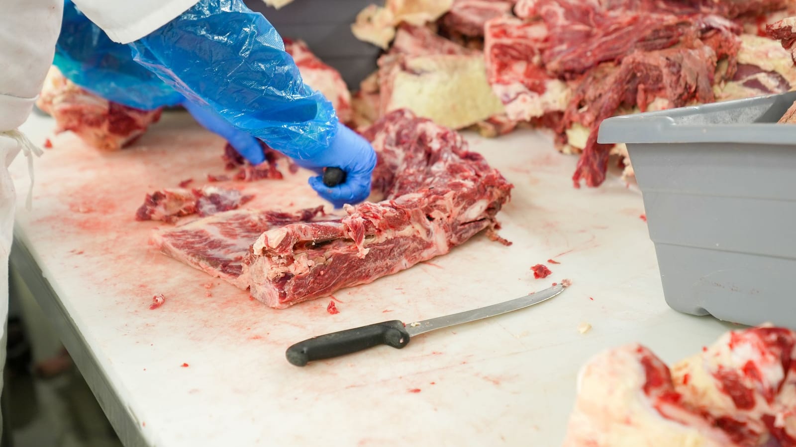 Cutting up your own deer without wasting half of it
