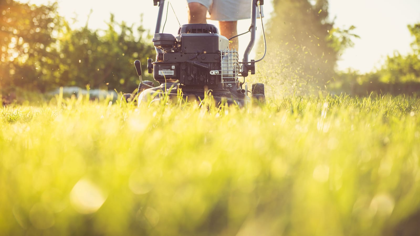 Four Moves a Year Are All Your Lawn Actually Needs