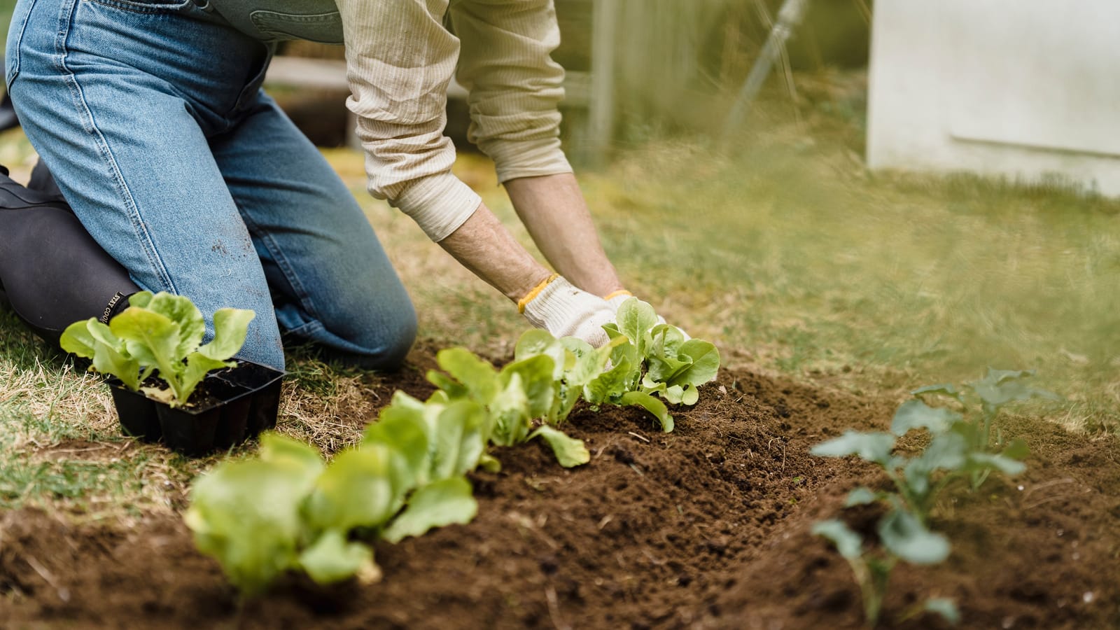 Gardening After Sixty Without Wrecking Your Back