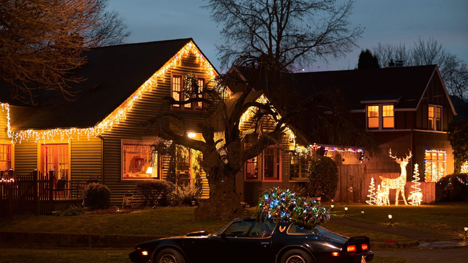 Getting the lights on the roof and yourself back off it