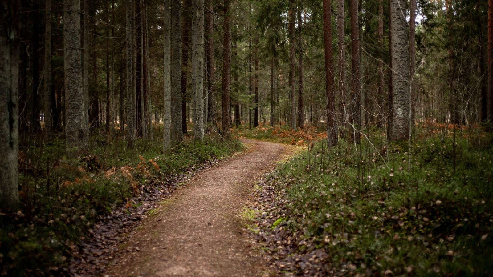 How Far Kids Can Really Hike and How to End the Day Happy