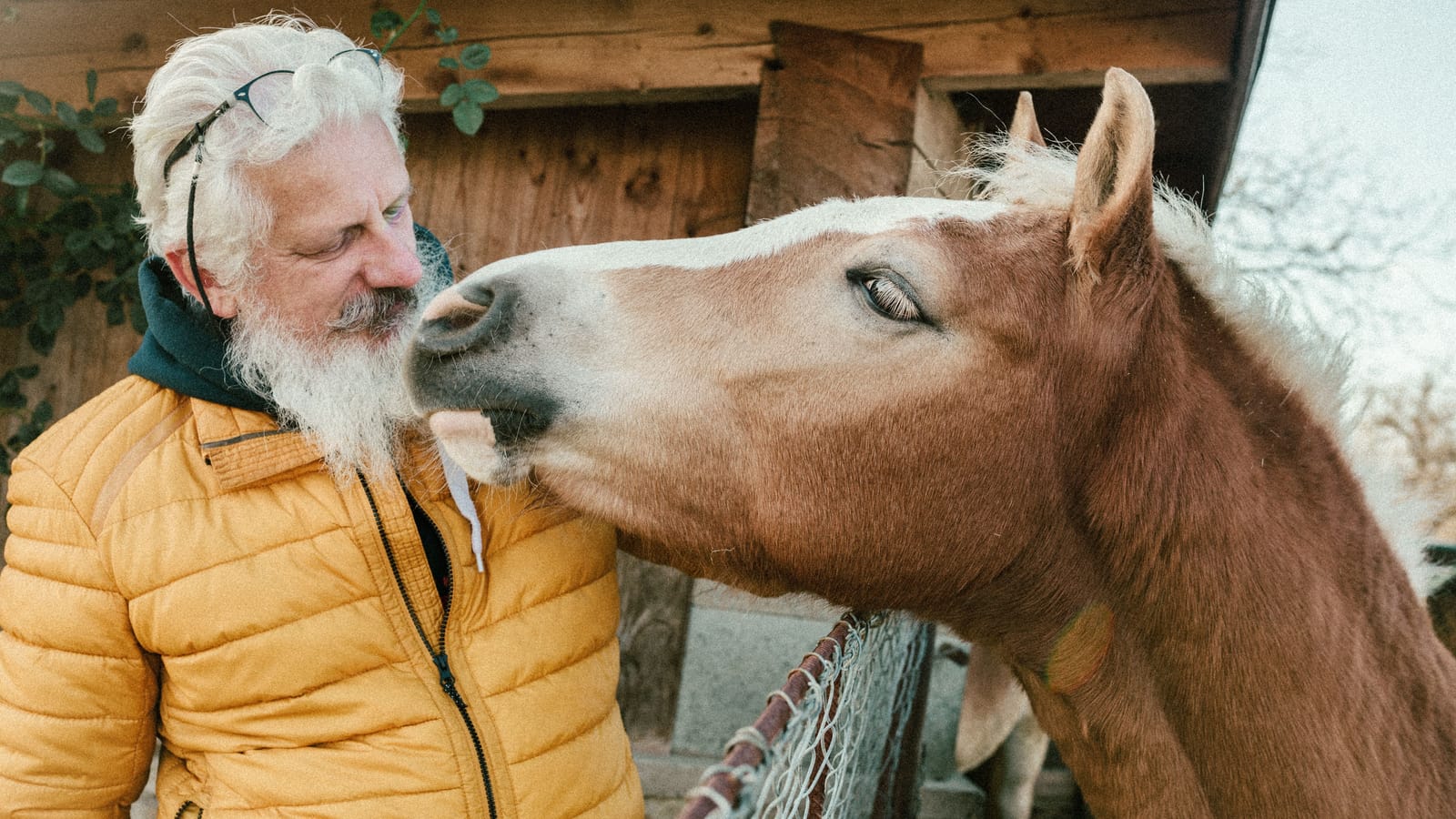 How to Buy a Barn Coat That Actually Works Outside