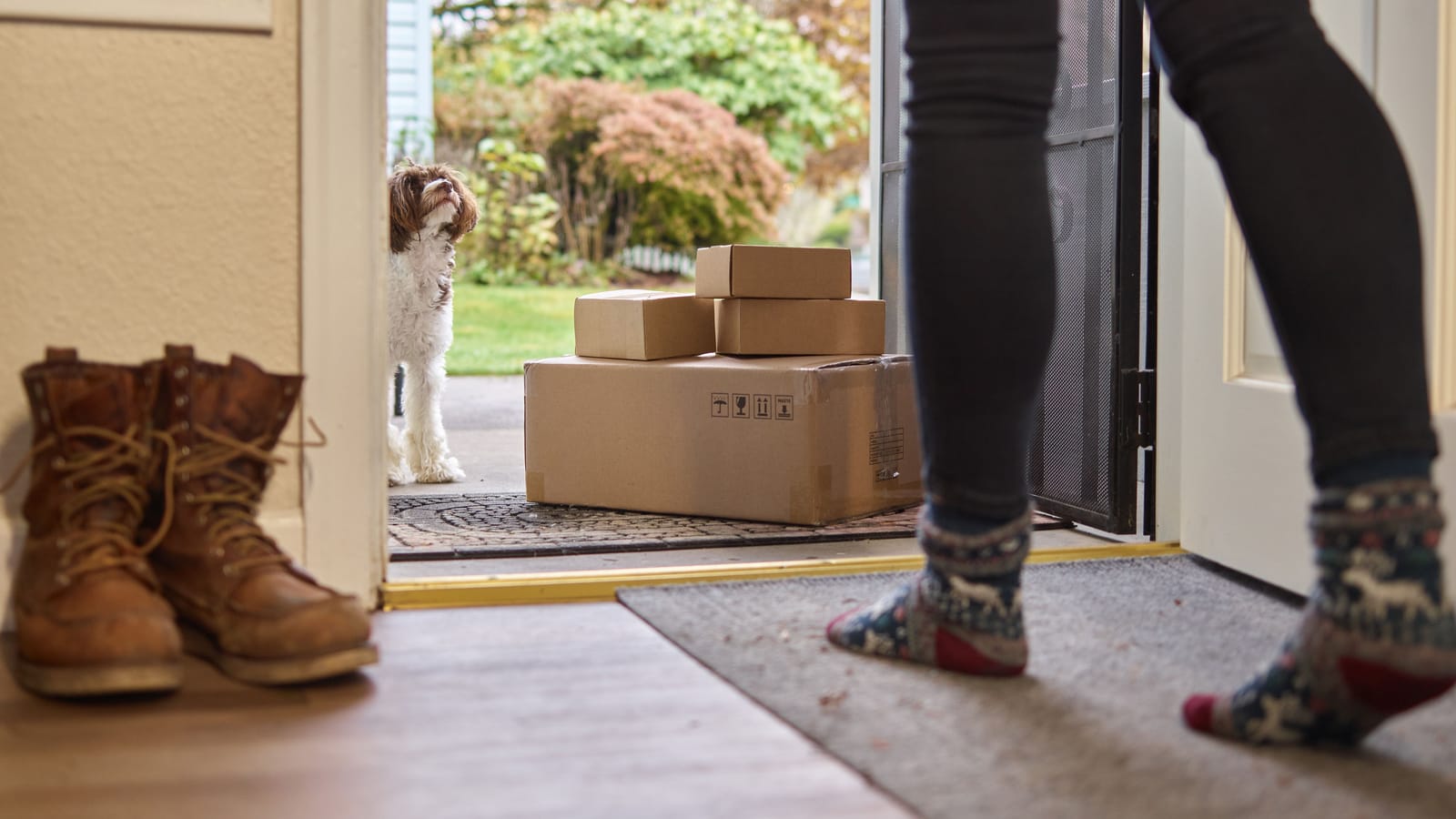 How to Help a Dog Who Panics When You Leave for Work