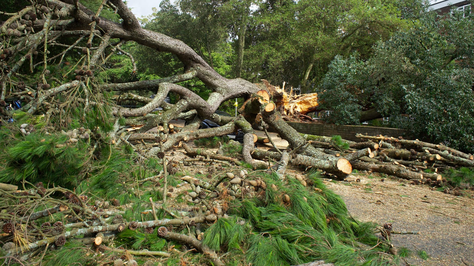 How to Help After a Storm Without Getting in the Way