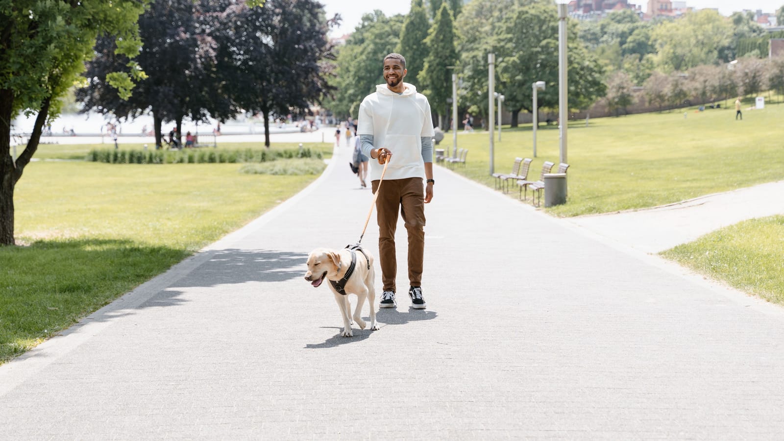 How To Make A Dog Your Teenager's First Real Job