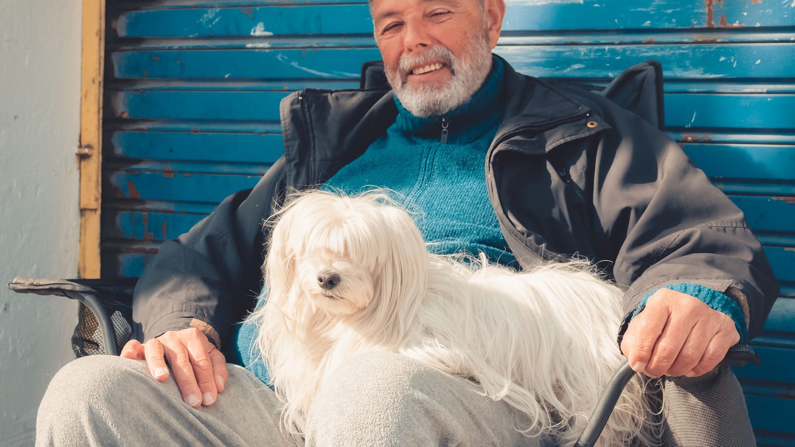 How to Pick the Right Dog in Your Seventies
