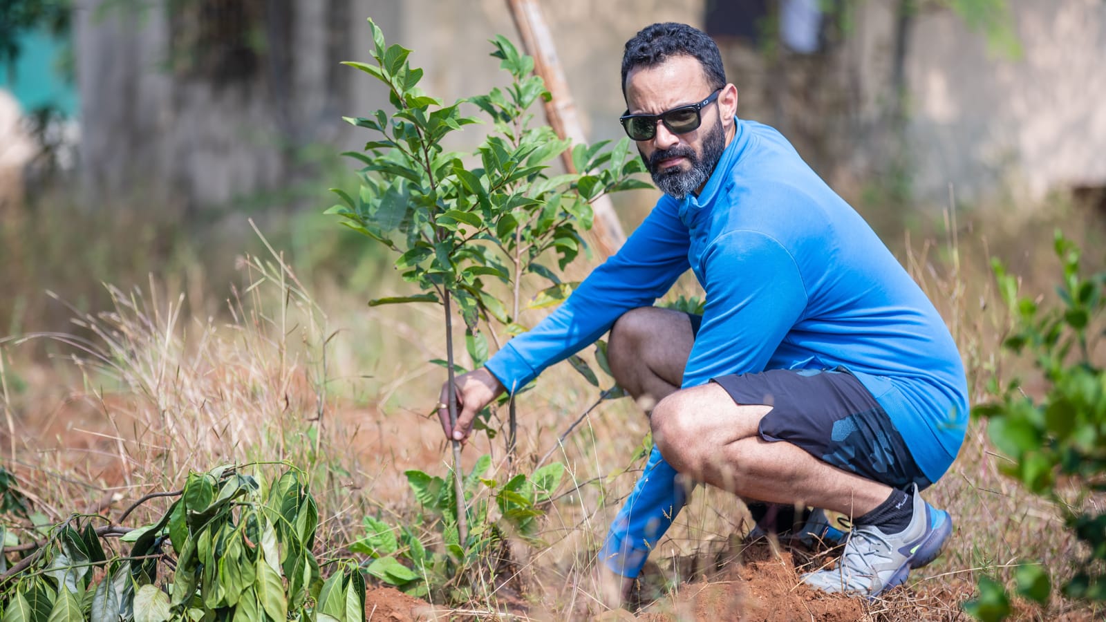 How to Plant a Tree That Outlives You
