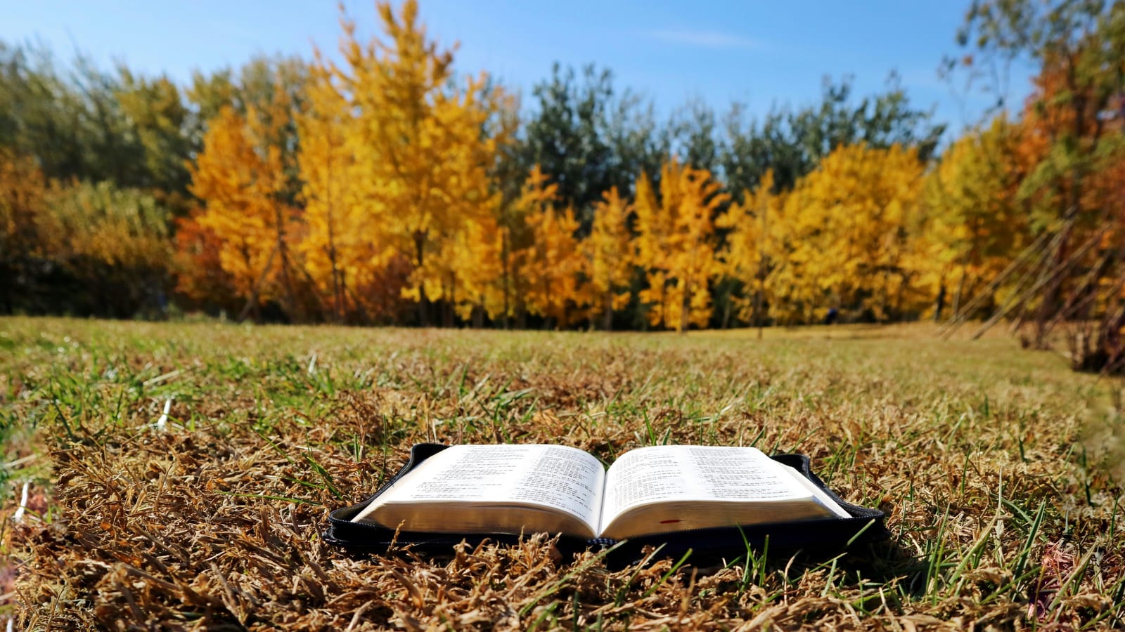 How to Read the Sermon on the Mount and Actually Do It