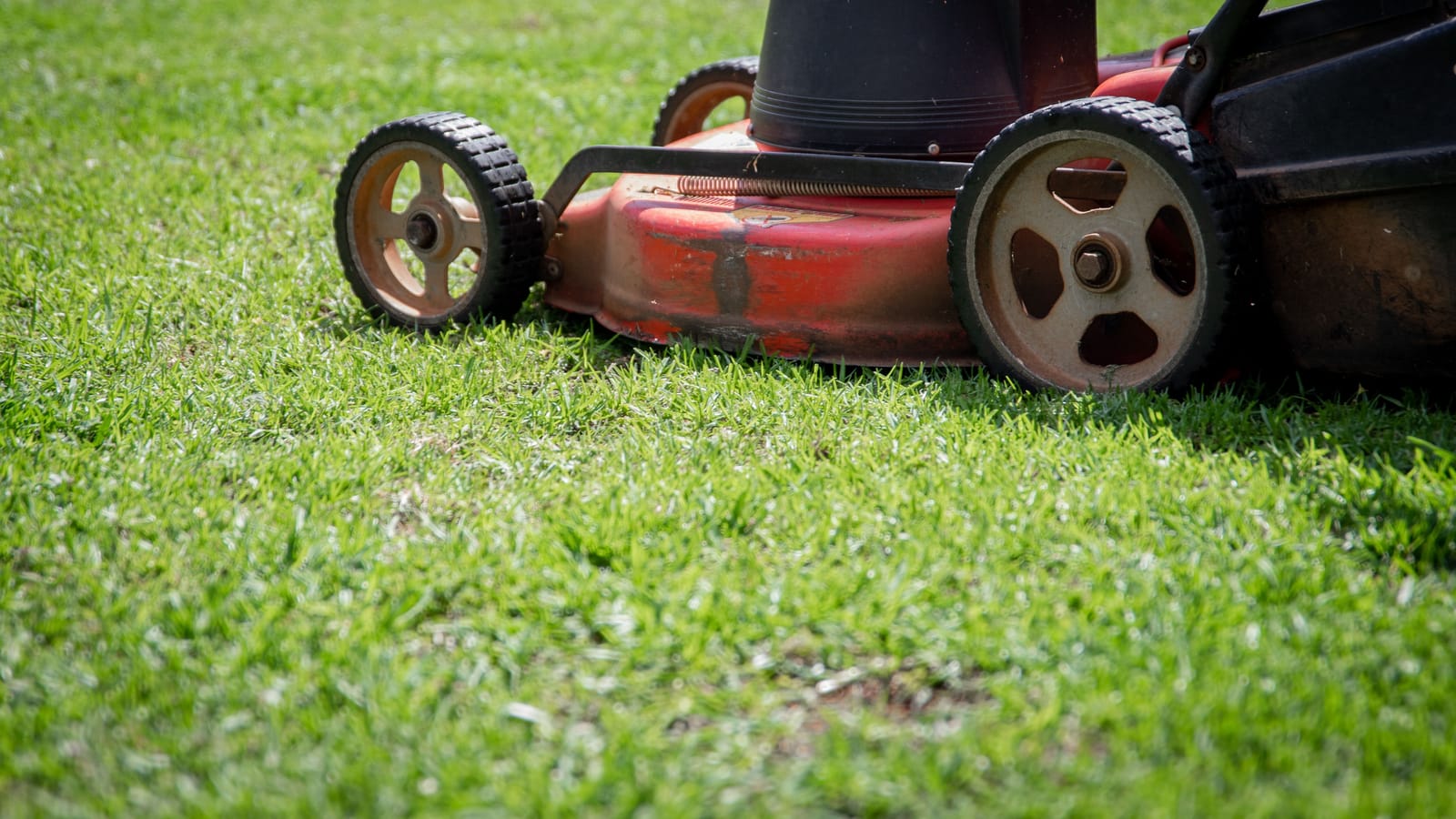 Mow High, Water Deep, Skip the Chemical Program