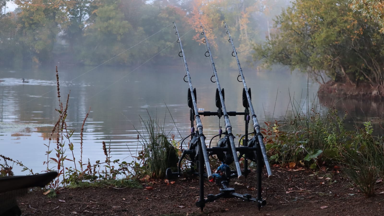 Night Catfishing Without Wasting the Whole Night