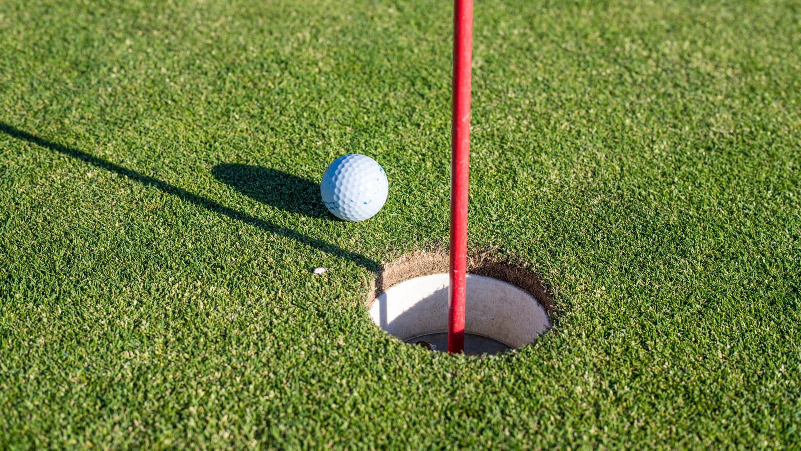 Nine holes with your father, once a month, booked a year out
