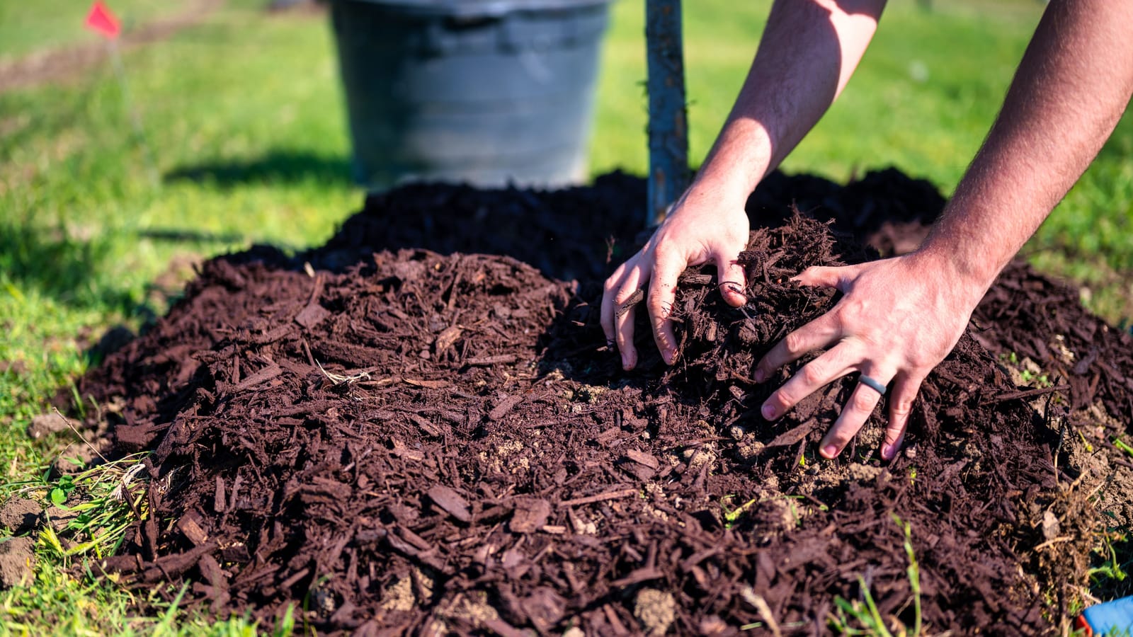Pull, Mulch, Then Spray. In That Order.
