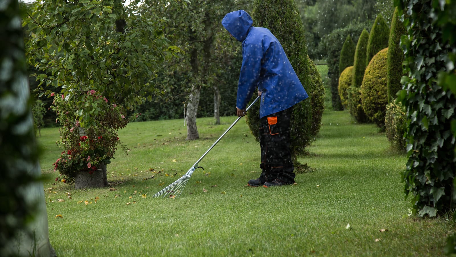 Put the Lawn to Bed Right Before the Ground Freezes