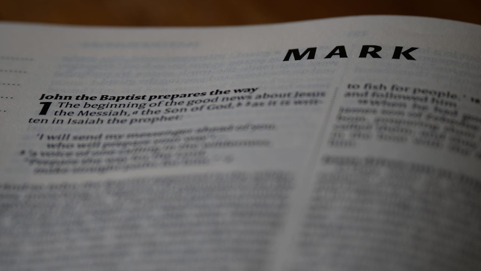 Read Mark In Thirty Days And Learn How To Read A Bible