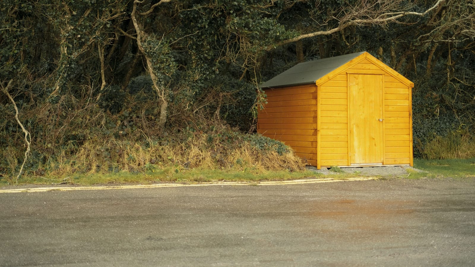 Shed Kit or Build From Scratch, and What Each Costs