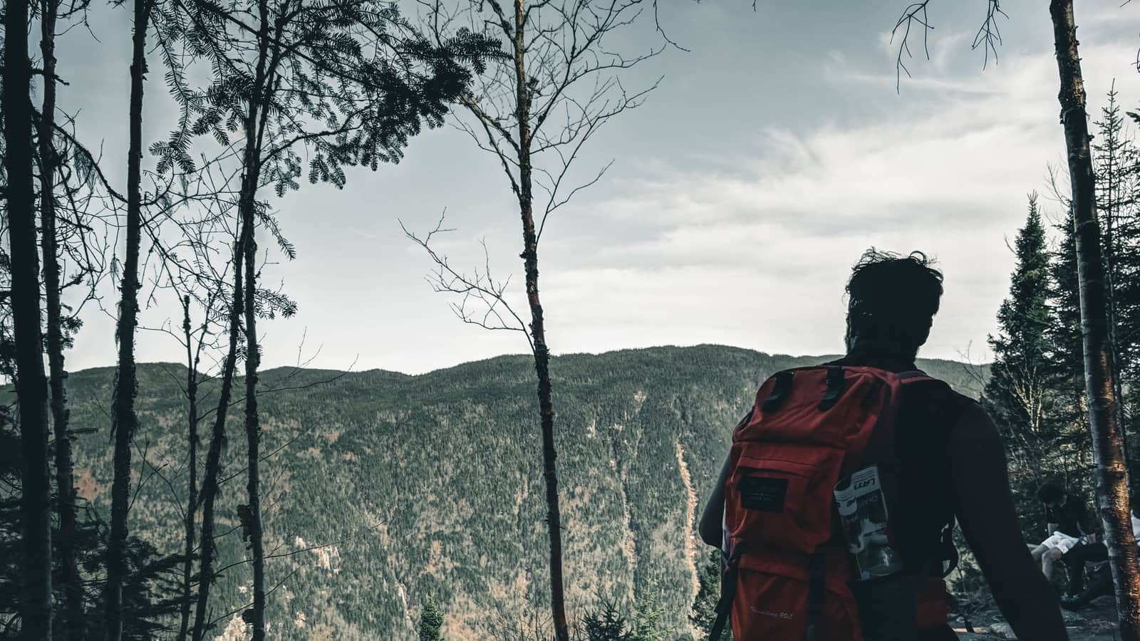 Stay Put and Get Found When a Day Hike Turns Into a Night