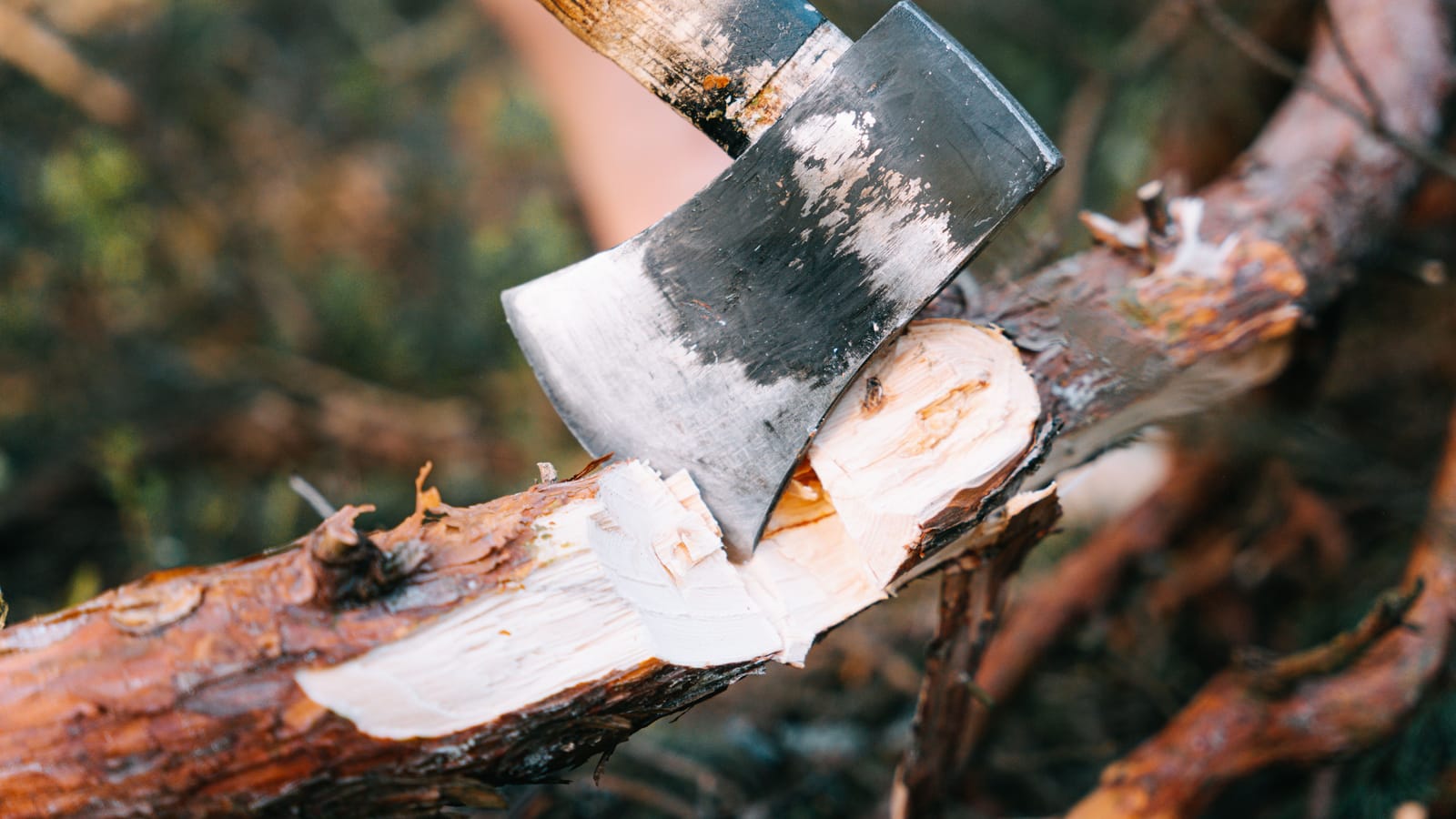 The Axe Work That Drops a Small Tree Where You Want It