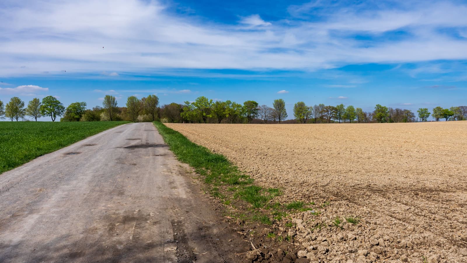 The cheap acreage is usually cheap for a reason