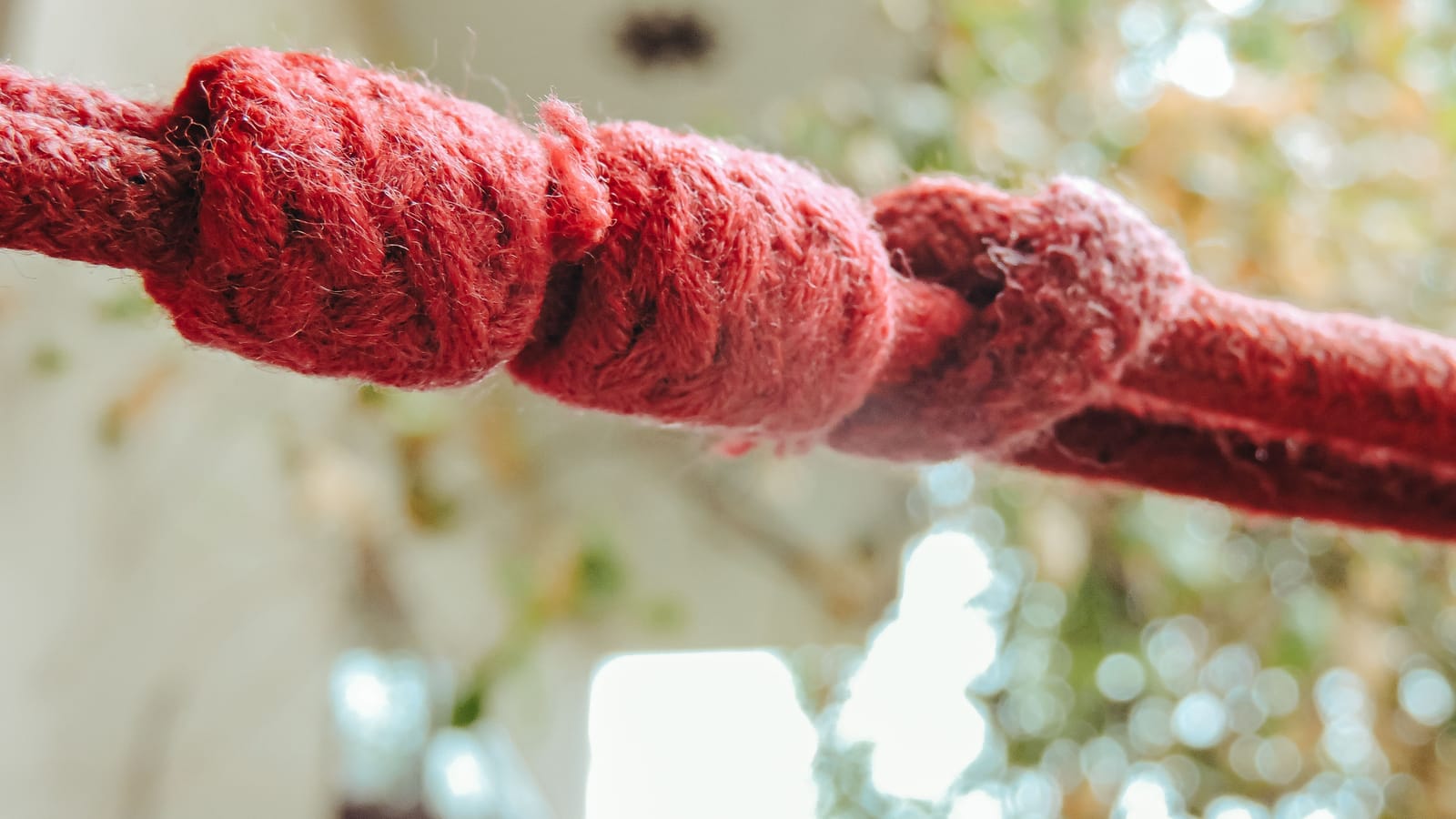 The Eight Knots Worth Learning Before Your Next Trip