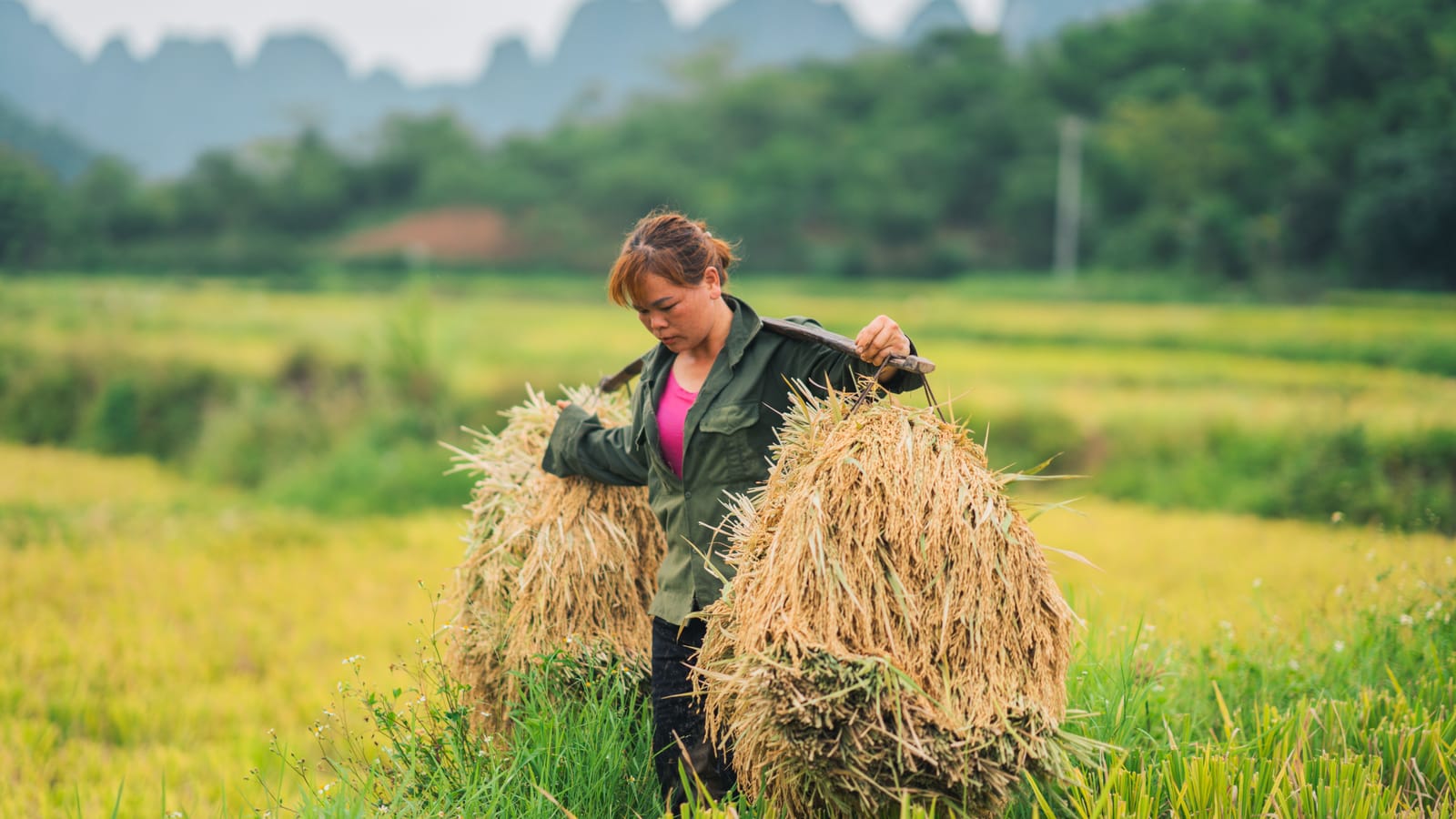The farm clothes calendar, from mud season to harvest