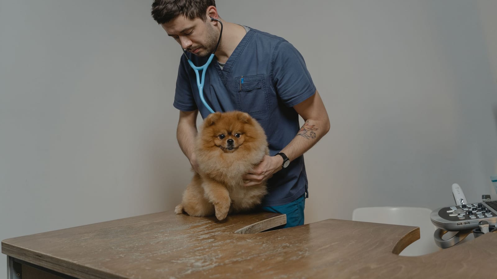 The free puppy costs more than the one with a price tag