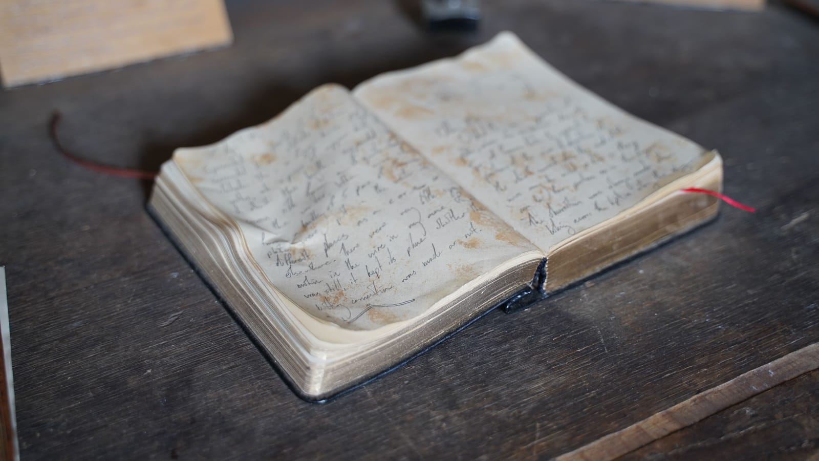 The Pioneer Women Who Wrote It All Down