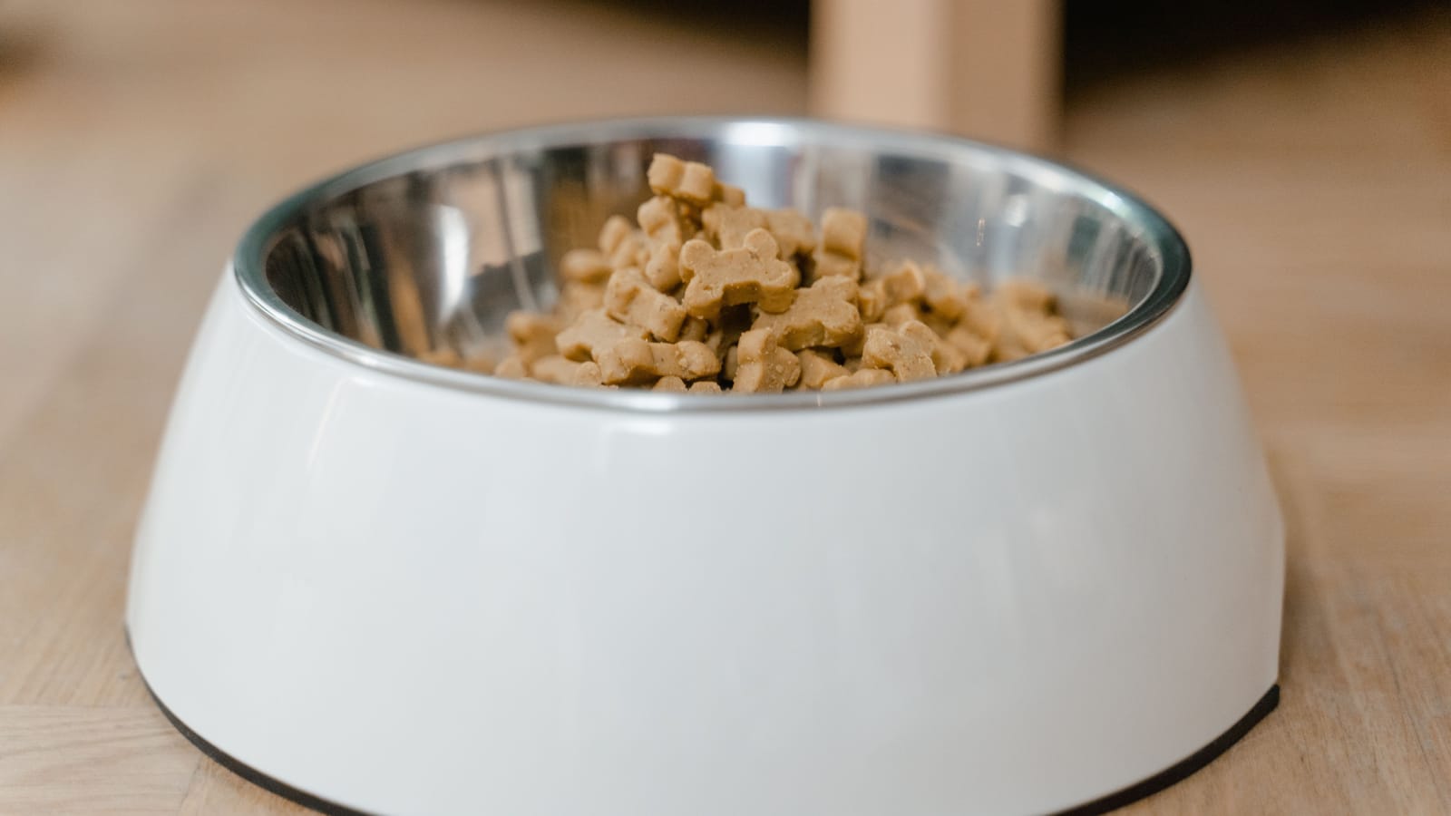 What a Dog Actually Costs, Year One and Every Year After