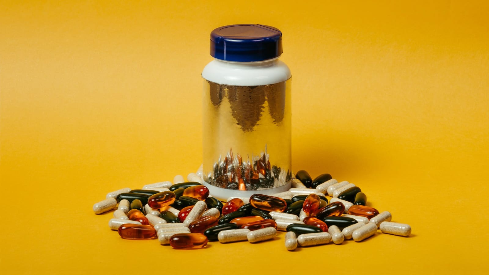 What the certification on your protein tub actually promises