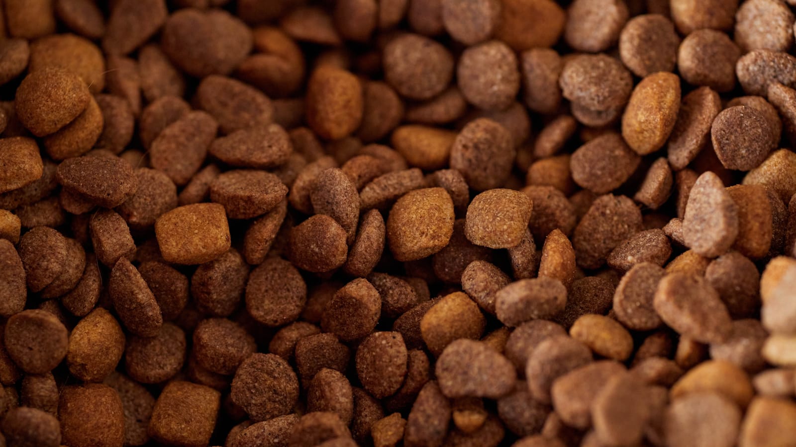 What the Dog Food Bag Is Actually Telling You