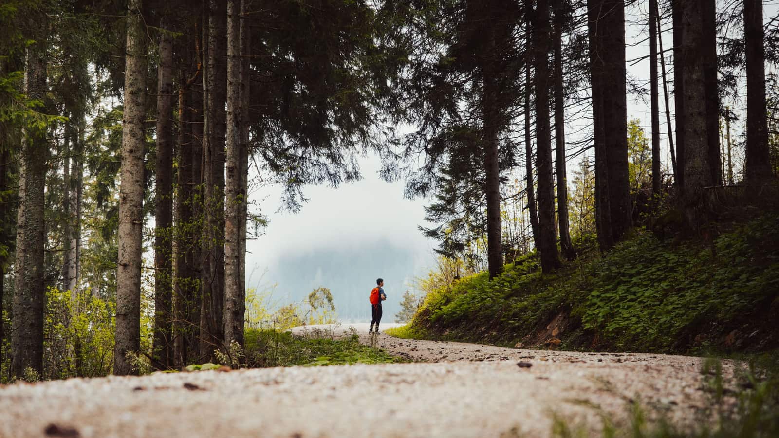 What to do in the first hour you're lost in the woods