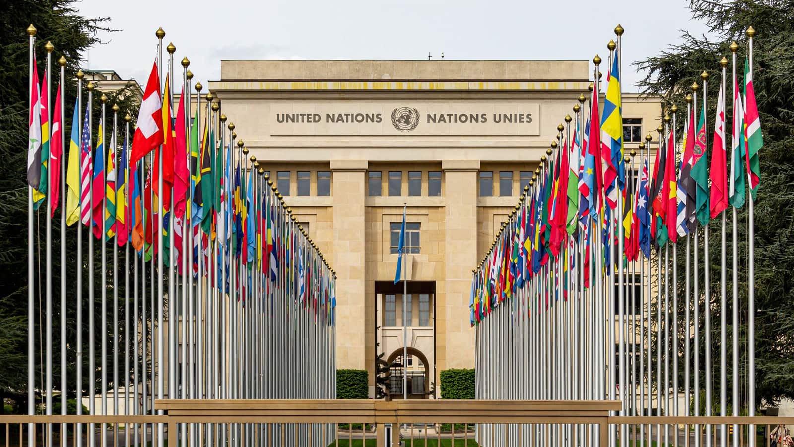 What UN Human Rights Experts Told Canada About MAID