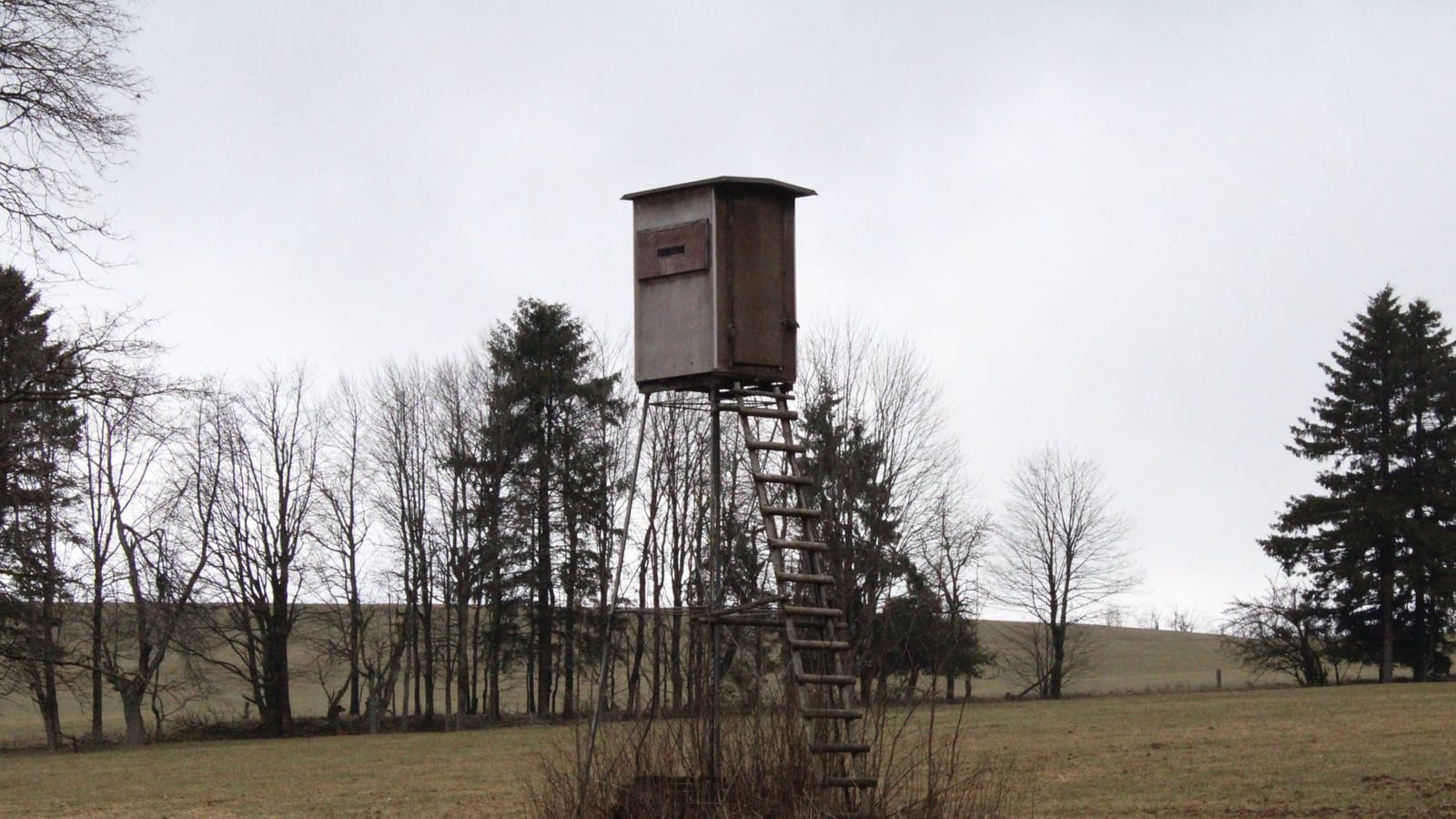Where to hunt when you don't own a single acre