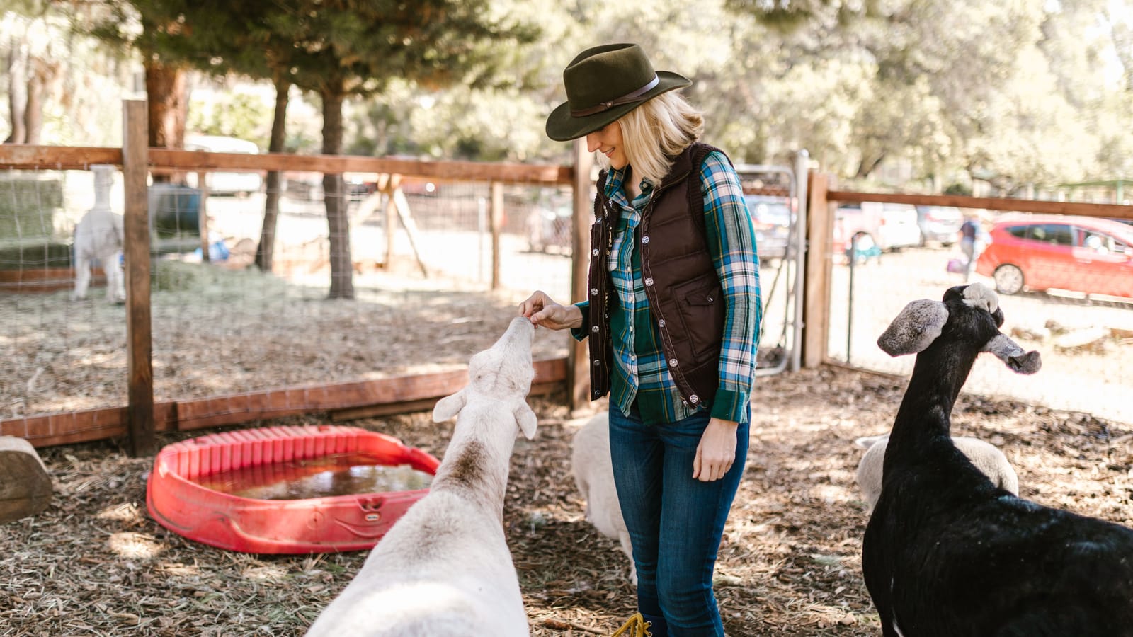 Why the wool vest still beats a coat for chores
