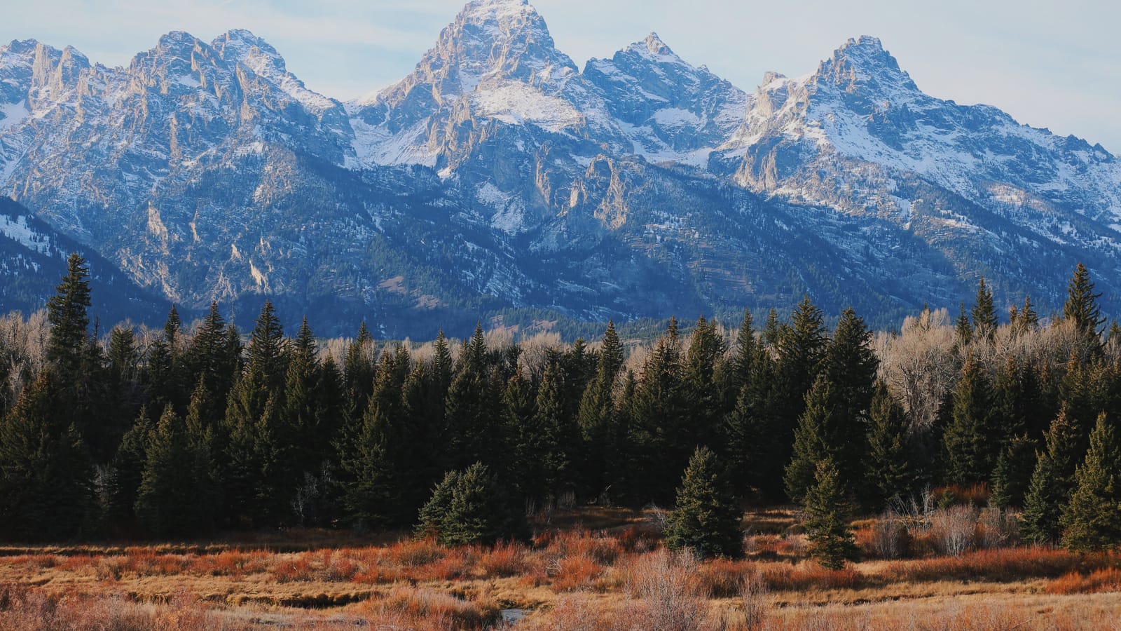 Yellowstone and Grand Teton in seven days, north to south