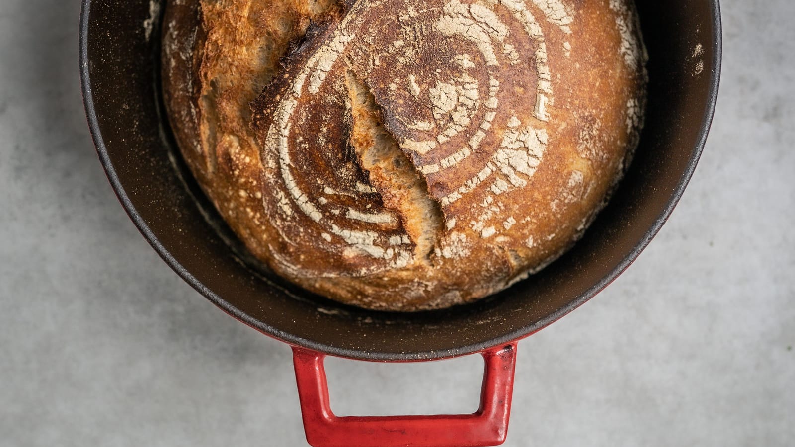 Your sourdough starter isn't dead, it's on day three
